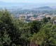 Awe-Inspiring Nature in the East Bay Hills Awe-Inspiring Nature in the East Bay Hills