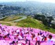 The 20th Pink Triangle The 20th Pink Triangle