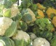 Top Ten Lucky Foods from the Farmers’ Market Top Ten Lucky Foods from the Farmers’ Market