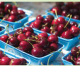 Ten Ways to Enjoy Sweet Cherries