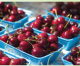 Ten Ways to Enjoy Sweet Cherries Ten Ways to Enjoy Sweet Cherries