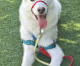 Take Me Home with You: Bronson Take Me Home with You: Bronson
