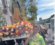 30th Anniversary Virgin of Guadalupe Pilgrimage 30th Anniversary Virgin of Guadalupe Pilgrimage