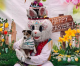 Easter EggStravaganza – A Castrocentic Block Party Easter EggStravaganza – A Castrocentic Block Party