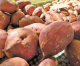 Unraveling the Confusion – Sweet Potatoes Versus Yams Unraveling the Confusion – Sweet Potatoes Versus Yams