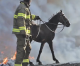 Heartbreak and Hope Amidst the Southern CA Wildfires Heartbreak and Hope Amidst the Southern CA Wildfires