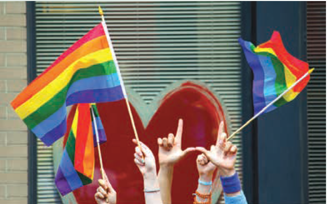 LGBT Transgender Pride Flag Israeli genderqueer Trans Andrew Lindsay Helms